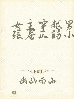 女主穿越男主是张居正的小说