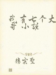 我有七个大佬哥哥 小说