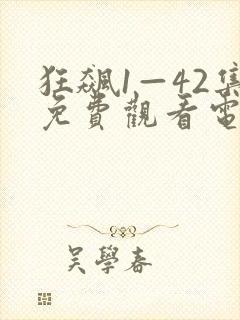 狂飙1—42集免费观看电视剧