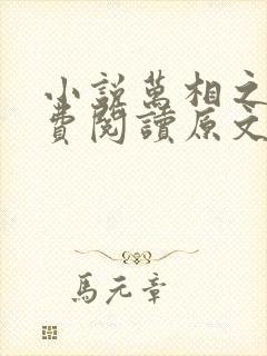 小说万相之王免费阅读原文