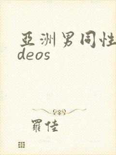 亚洲男同性videos