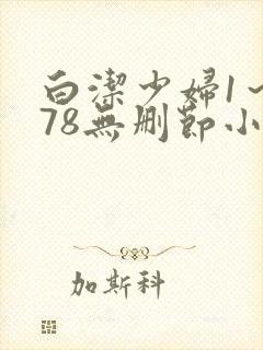 白洁少妇1～178无删节小说