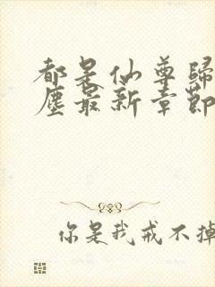 都是仙尊归来洛尘最新章节封面