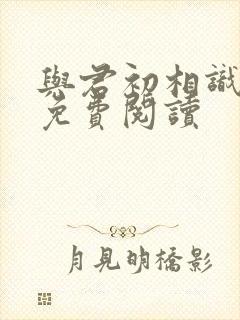 与君初相识小说免费阅读