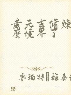 黄元吉修炼到什么境界了