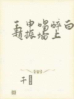 王申喝醉白洁被赵振墙上