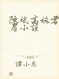 陈斌高婉君赵心眉小说