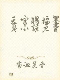 天官赐福墨香铜臭小说免费阅读免费封面
