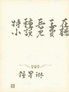 特种兵王在山村小说免费听