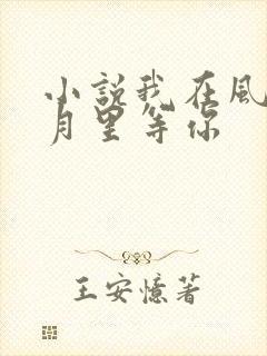 小说我在风花雪月里等你