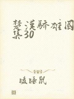 楚汉骄雄国语全集30