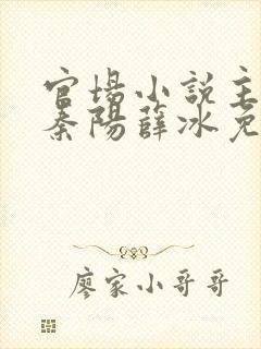 官场小说主人公秦阳薛冰免费阅读