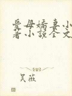 爱母娇妻小说原著小说全文阅读