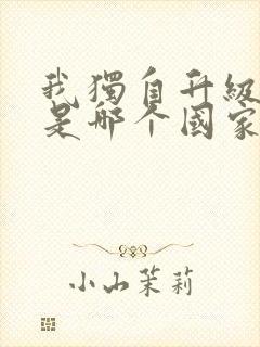 我独自升级漫画是哪个国家的