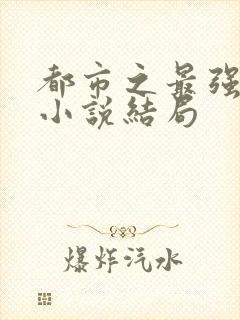 都市之最强狂兵小说结局封面