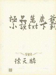 极品万岁爷妖刀小说txt下载