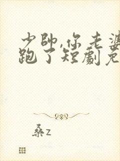 少帅,你老婆又跑了短剧免费看