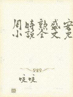 周时勋盛安宁的小说全文免费阅读