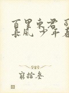 百里东君 司空长风 少年春风醉白马