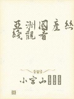 亚洲国产丝袜在线观看