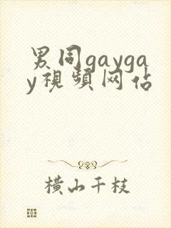 男同gaygay视频网站