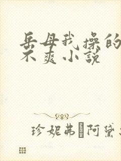 岳母我操的你爽不爽小说封面