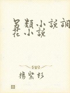 另类小说调教警花小说