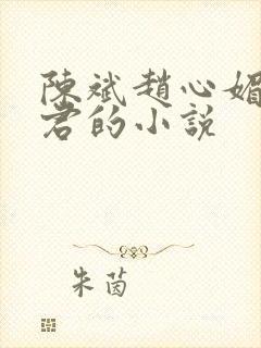 陈斌赵心媚高婉君的小说