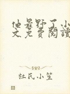 他最野了小说全文免费阅读无弹窗