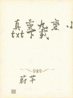 真灵九变 小说txt下载