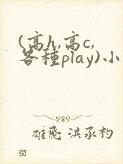 (高h,高c,各种play)小说