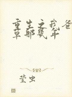 重生之我爸当校草那几年