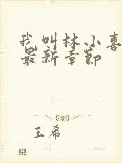 我叫林小喜17最新章节