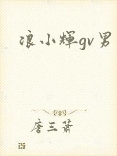浪小辉gv男男