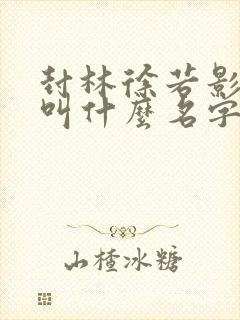 封林徐若影小说叫什么名字封面