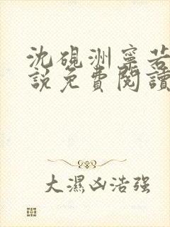 沈砚洲宁若曦小说免费阅读最新章节