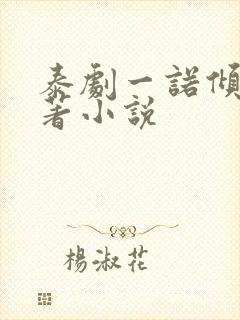 泰剧一诺倾情原著小说