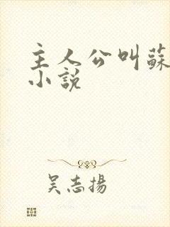 主人公叫苏言的小说