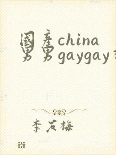 国产china男男gaygay视频