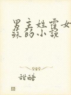 男主姓霍女主姓苏的小说