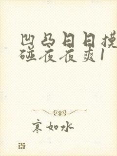 凹凸日日摸日日碰夜夜爽1