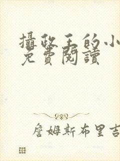 摄政王的小宠妃免费阅读封面