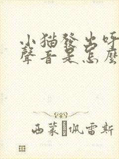 小猫发出呼呼的声音是怎么回事