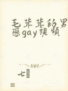 毛茸茸的男同性恋gay视频