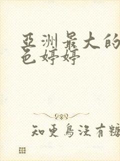 亚洲最大的av色婷婷