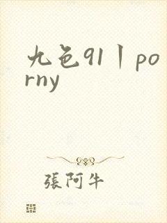 九色91丨porny