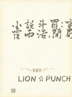 小说斗罗:穿越霍雨浩,开局拜师药老大结局