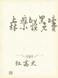 上瘾by黑暗森林小说免费