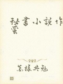 秘书小说作者阿蛮