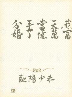 分手当天,我闪婚了亿万富豪小说免费阅读